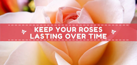 bouqet of roses