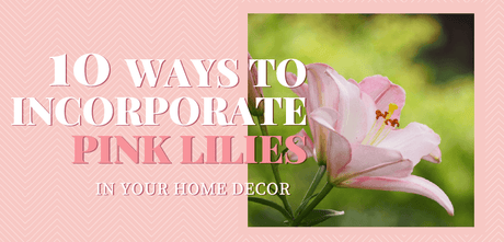 pink lilies