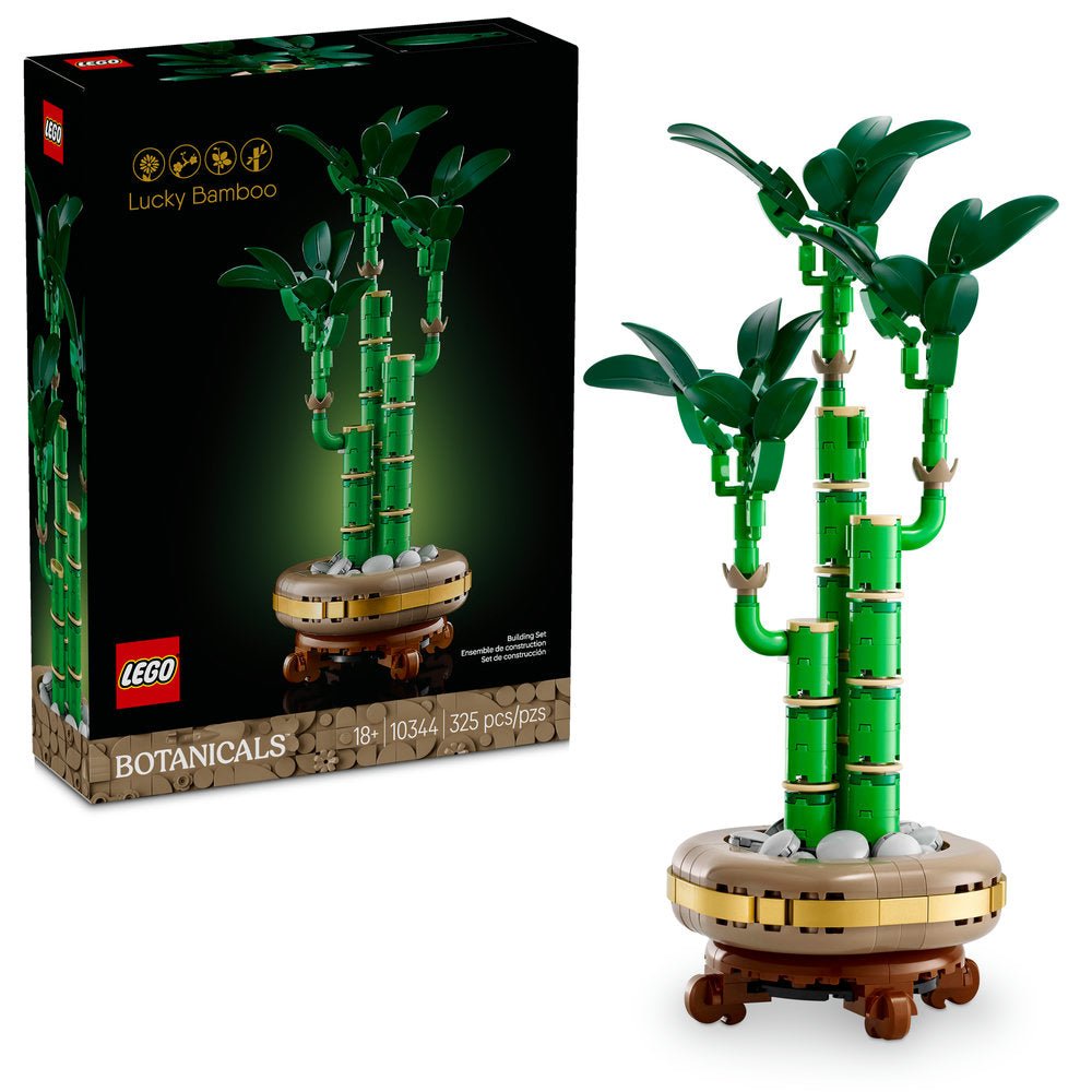 Lucky Bamboo Legos with box