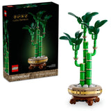 Lucky Bamboo Legos with box