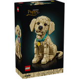 Lego Golden Retriever Puppy in Box