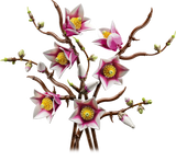 Lego Magnolia Branches