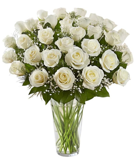 36 Premium White Roses Arranged in a vase with filler