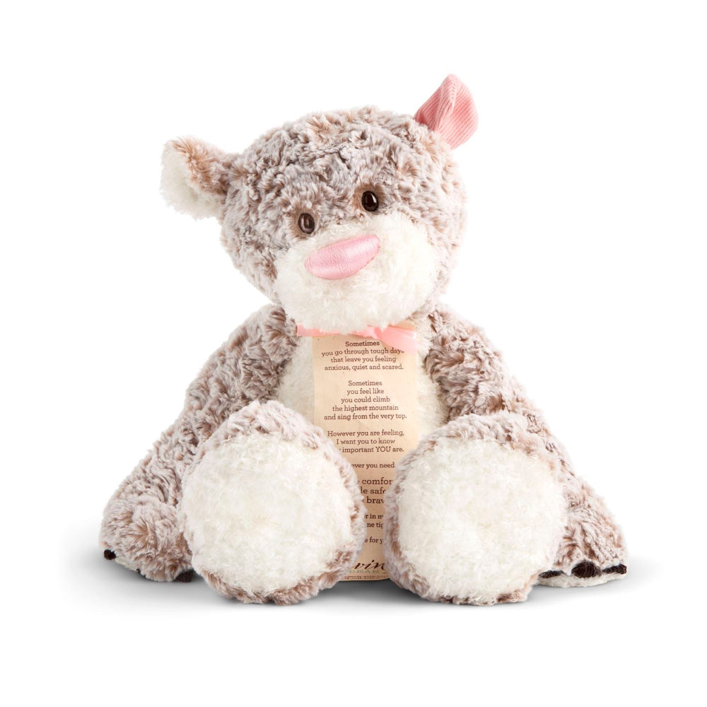 Pink Giving Bear