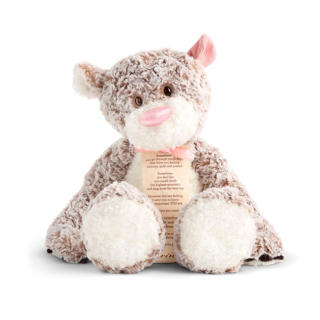 Pink Giving Bear