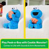 Cookie Monster Plush Toy