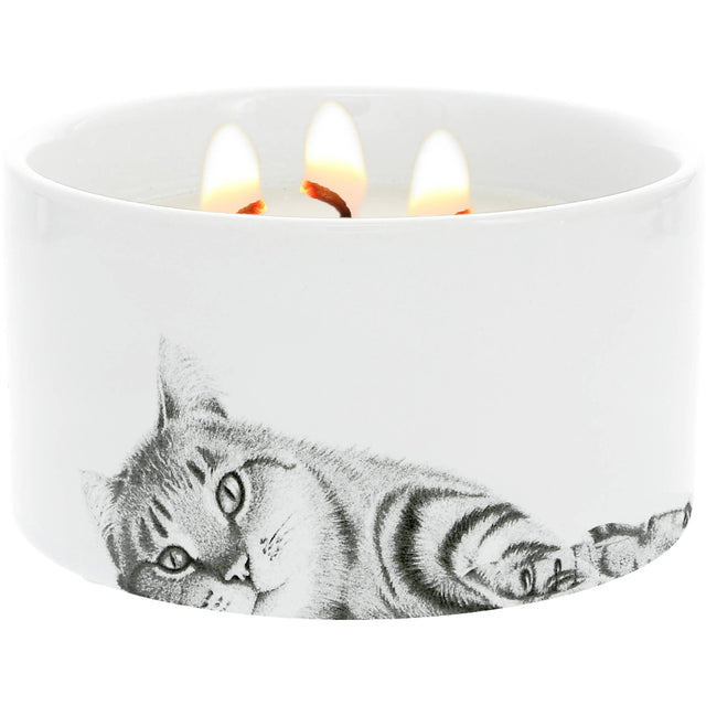 Kitty Cat - Soy Wax Reveal Triple Wick Candle