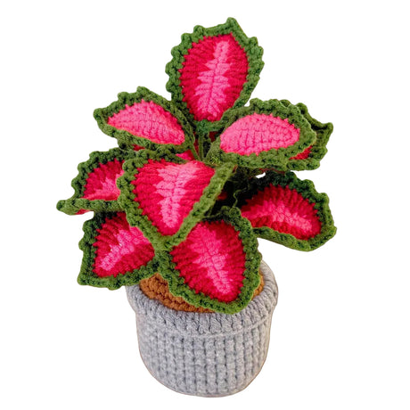 Handmade crochet coleus plant