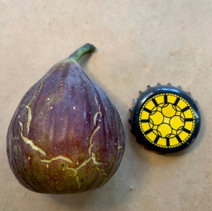 Azores Dark Whole Fruit