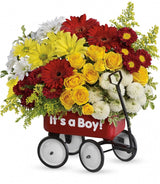 Teleflora's Baby Wow Wagon Boy - Premium
