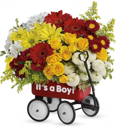 Teleflora's Baby Wow Wagon Boy - Premium