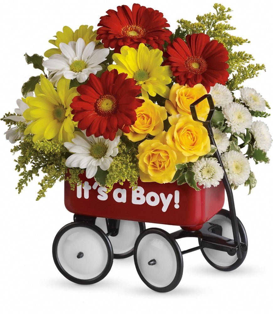 Teleflora's Baby Wow Wagon Boy - Standard