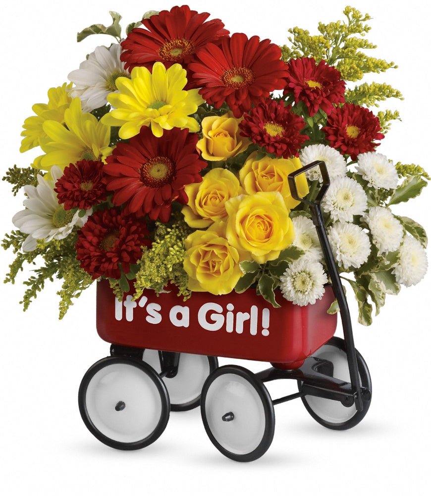 Teleflora's Baby Wow Wagon Girl - Deluxe