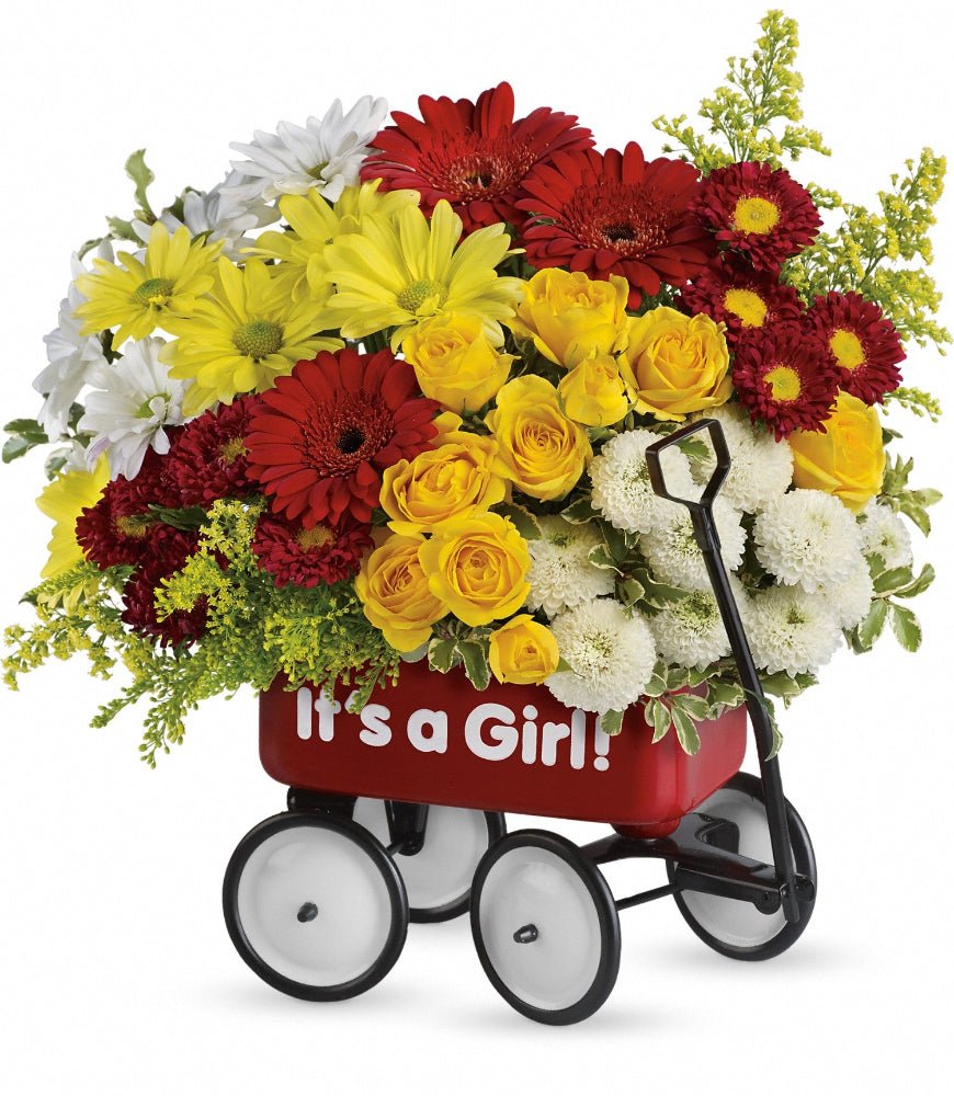 Teleflora's Baby Wow Wagon Girl - Premium