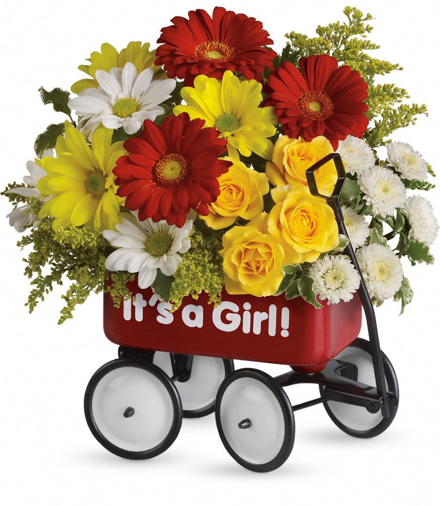 Teleflora's Baby Wow Wagon Girl - Standard