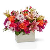 Light of my life box bouquet - Premium