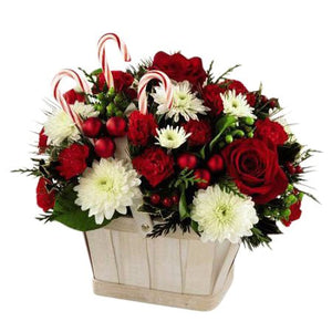 Winter and Holiday Flowers