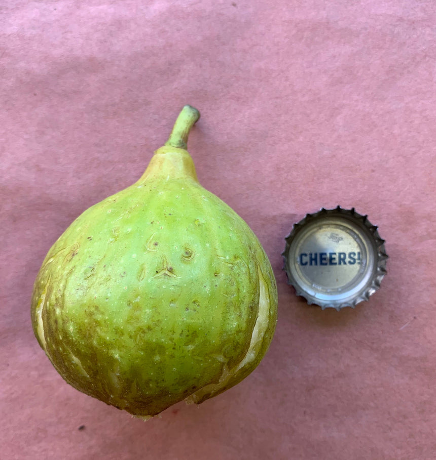 Constantine de Algerie Fig Whole Fruit