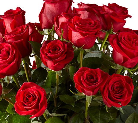 Custom count vase of roses for birthday or anniversary