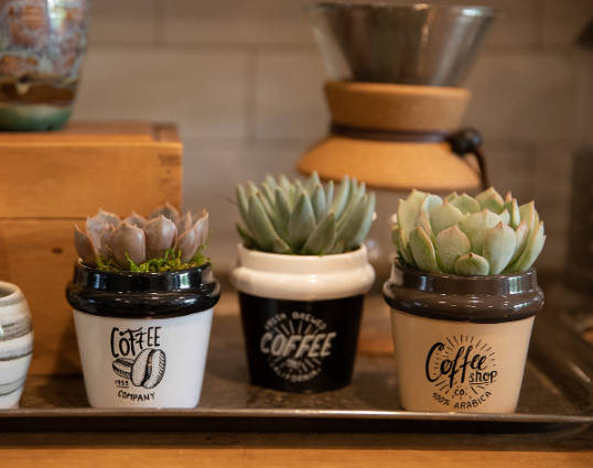 Coffee Time Succulent Planter