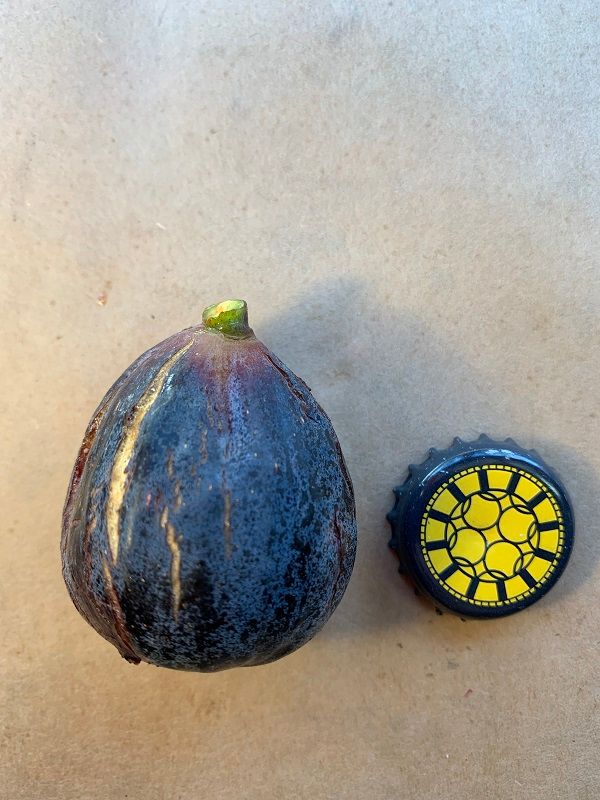 Dans BB-10 Fig Whole Fruit