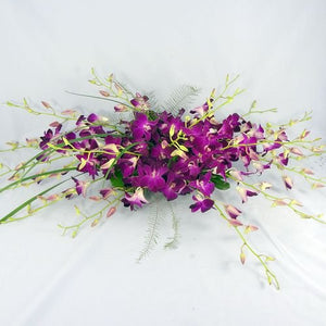 Dendrobium Orchids