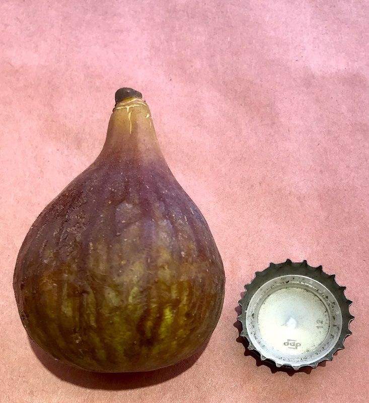Easton Purple Fig Whole Fruit