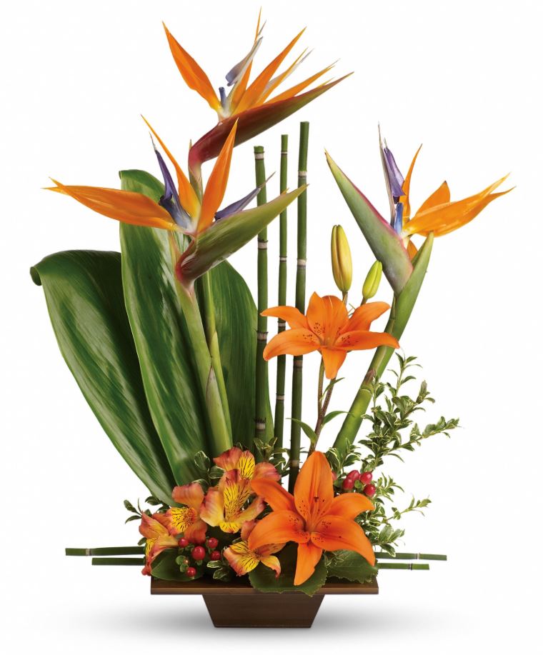 Exotic Grace Tropical Bouquet - Deluxe