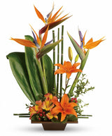 Exotic Grace Tropical Bouquet - Deluxe
