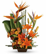 Exotic Grace Tropical Bouquet - Premium