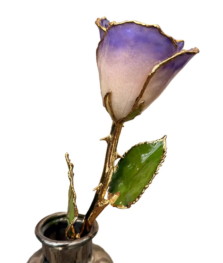 White Blue Opal Gold Dipped Rose
