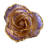 Close up of White Blue Opal Gold Dipped Rose