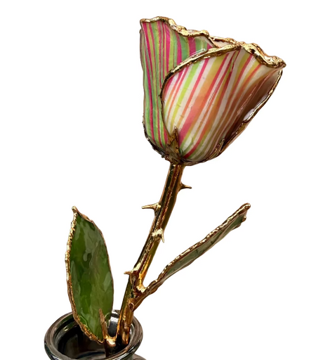 Gold Dipped Wicked Striped Rose