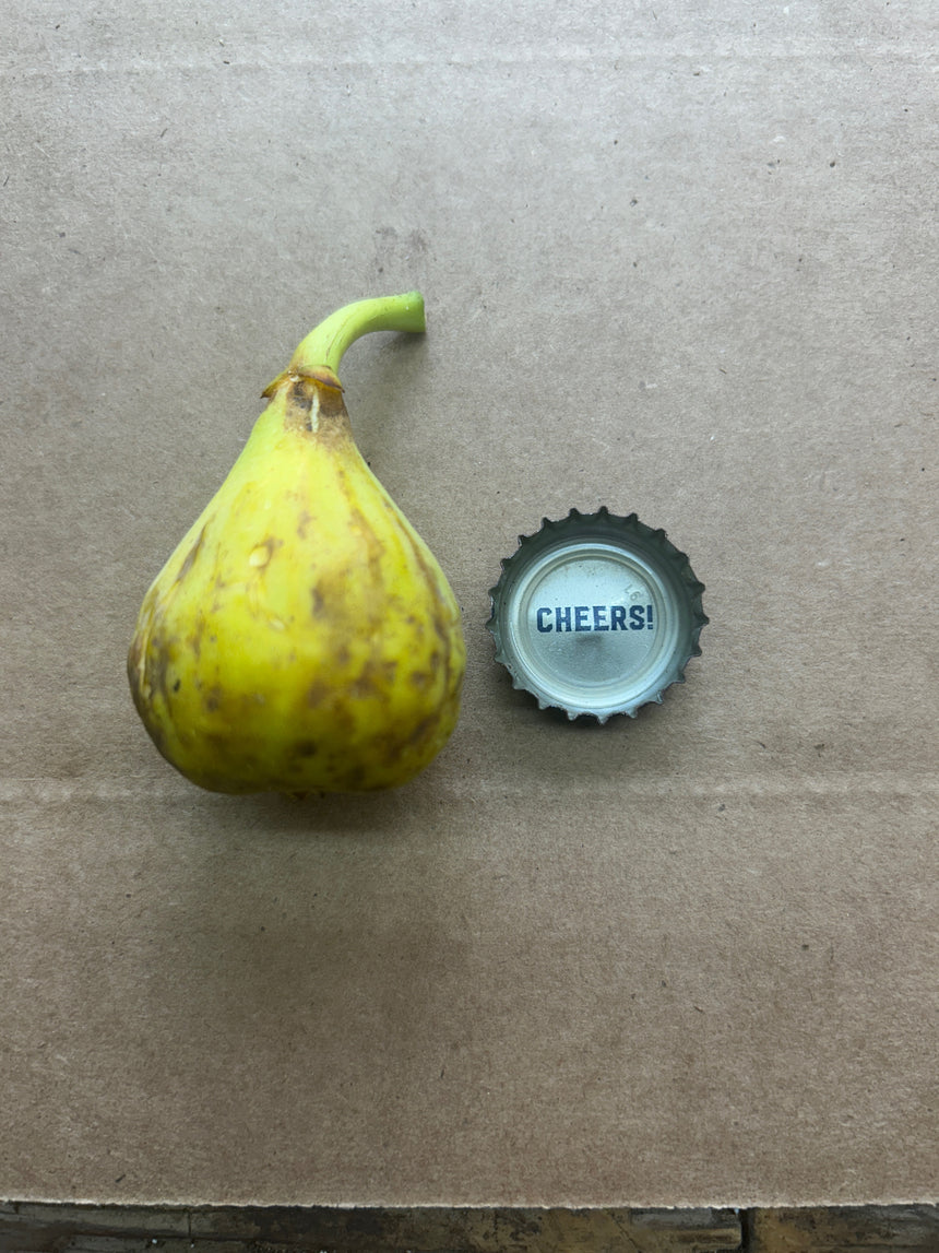 Juillac Fig Whole Fruit