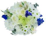 Feel Special Bouquet - Light Up The Night Premier