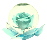 Enchanted Beauty Rose Globe- Light Blue