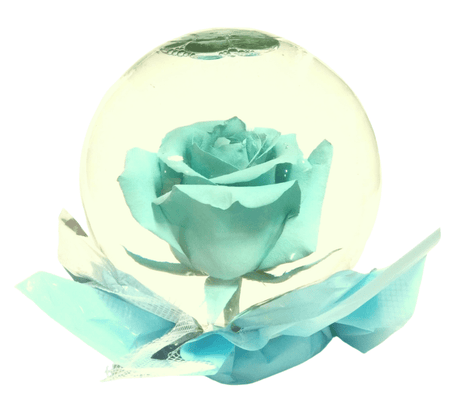 Enchanted Beauty Rose Globe- Light Blue