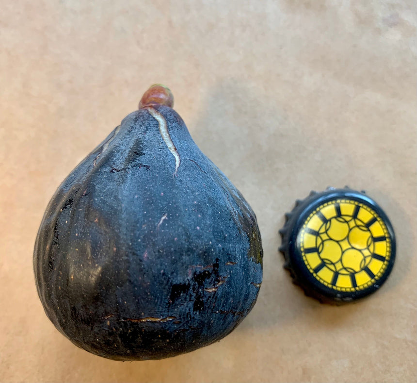 Maltese Beauty Fig Whole Fruit