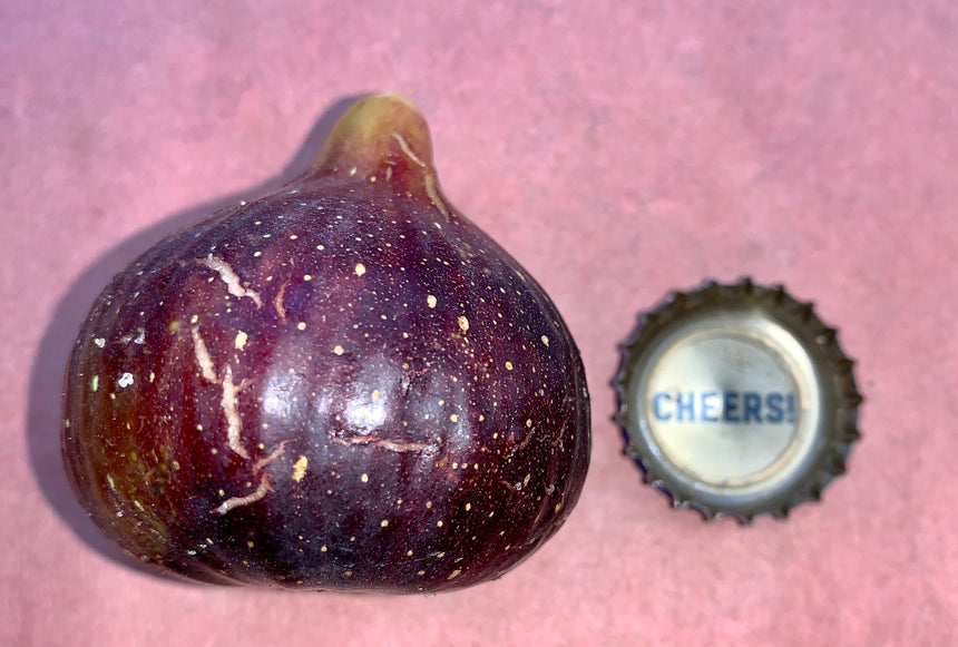 Martinenca Rimada Fig Whole Fruit