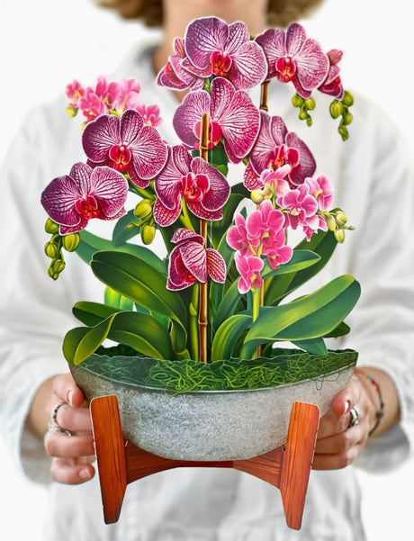 Orchid Oasis 3d Pop Up Greeting Card