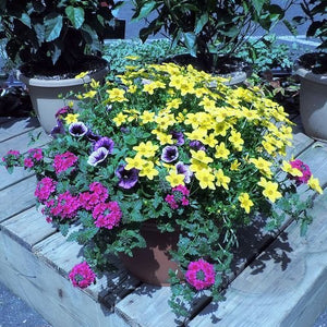 Spring Outdoor Planters