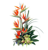 Paradise Blooms tropical flower arrangement with orchids and bird of paradise Small