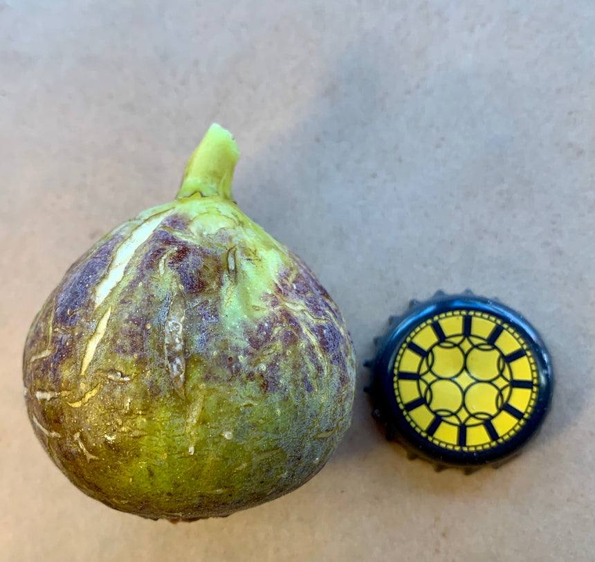 Paratjal Rimada Fruit Whole Fruit