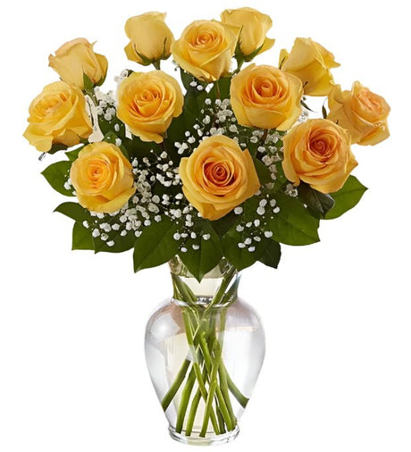 Dozen premium long stem yellow roses arranged in vase with filler