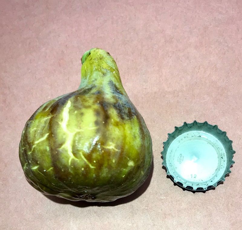 Smith Fig Whole Fruit