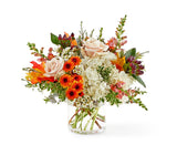 Autumnal Equinox - Deluxe