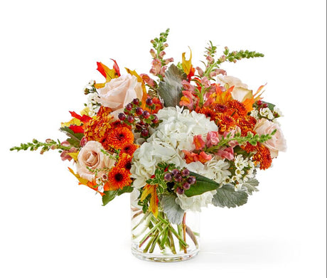 Autumnal Equinox - Premium