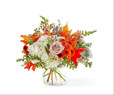 Autumnal Equinox - Standard
