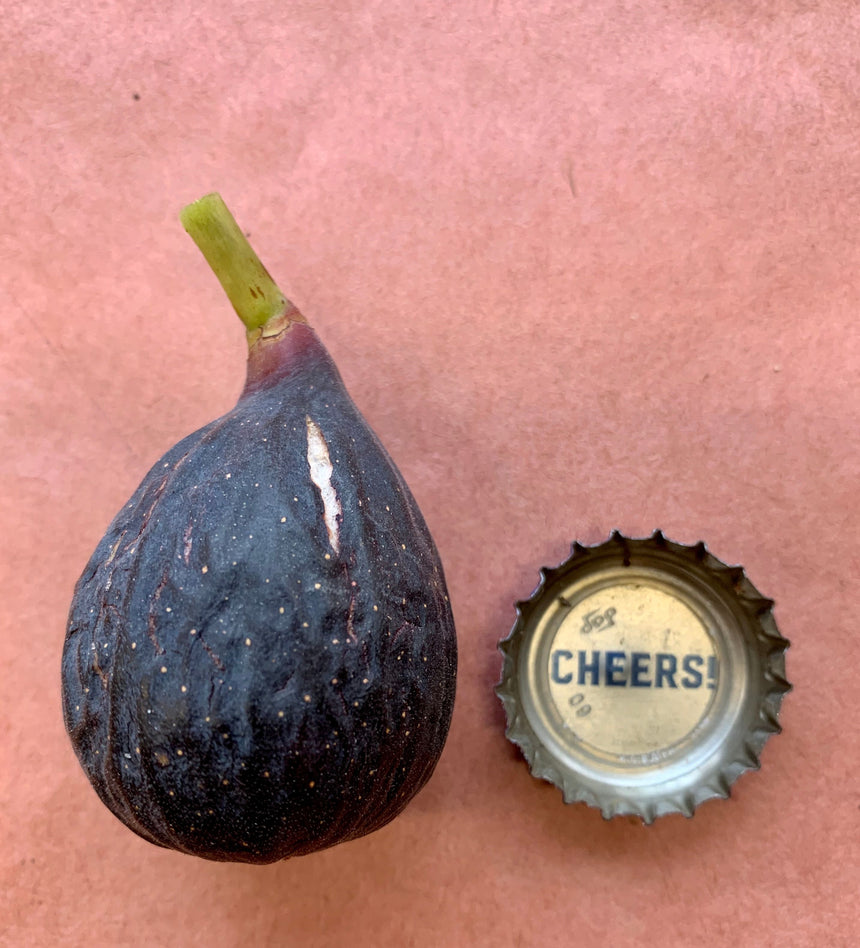 Victoria Fig Whole Fruit