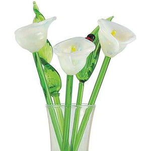 Glass Flowers